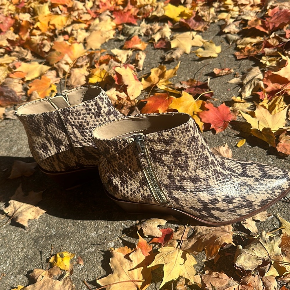Snakeskin boots